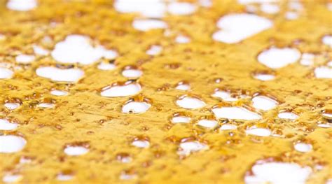 The most popular shatter strains of 2024 - Weed Delivery Victoria