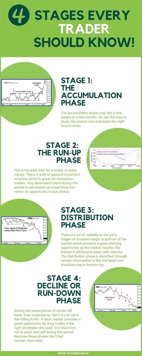 The Stock Market Cycle: 4 Stages That Every Trader Should Know! | Stock market, Stock trading ...