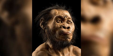 Homo naledi had a brain one-third the size of humans but displayed intelligence far beyond ...