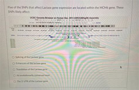 Solved Five of the SNPs that affect Lactase gene expression | Chegg.com