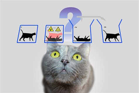 Cracking Schrödinger’s Equation with Deep-Learning AI - BLOCKGENI