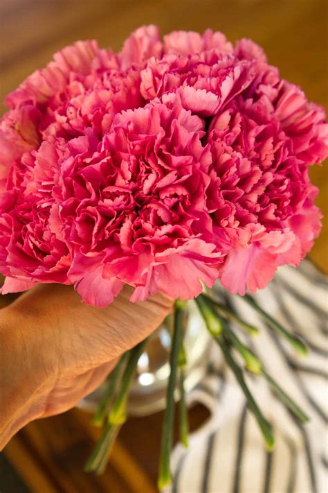 Simple Carnation Flower Arrangement (But Stunning!) // Unsophisticook