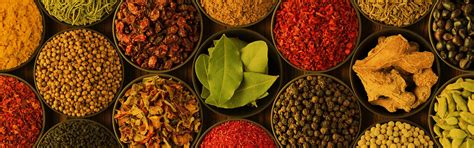 Masala Spices & Herbs on Behance