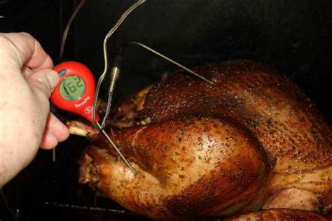 Download The Best Turkey Thermometer Images - Backpacker News