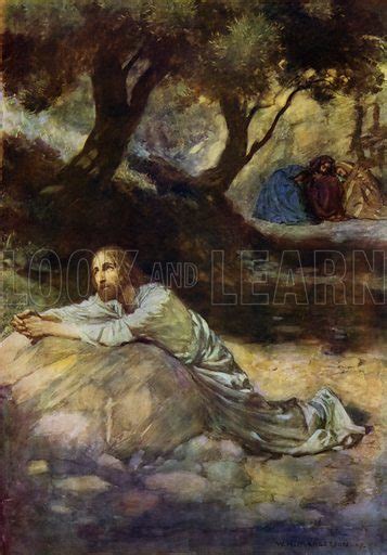 The Garden Of Gethsemane stock image | Look and Learn