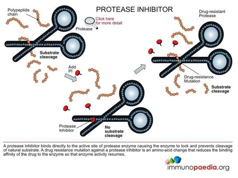 HIV ARV Drug Information | Immunopaedia