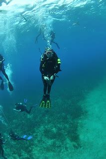 Diving Runway Wall, Nassau, Bahamas | Diving Runway Wall, th… | Flickr