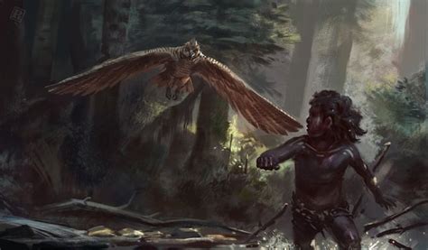 Haast's Eagle (Harpagornis) on the hunt, in the New Zealand bush; art by Ralph Herrera Lamoton ...