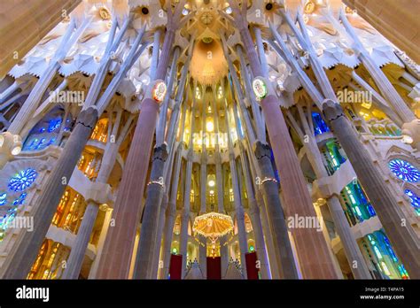 The interior of Sagrada Familia (Church of the Holy Family), the cathedral designed by Gaudi in ...