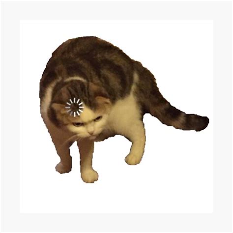 "Loading Cat Meme | Funny Meme" Photographic Print for Sale by ...