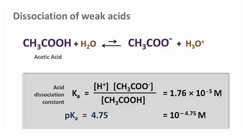 Dissociation Of Acetic Acid In Water Equation - Tessshebaylo