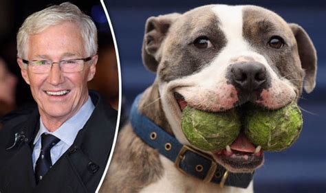 Paul O'Grady makes heartfelt plea for unwanted dogs to be rehomed | Nature | News | Express.co.uk