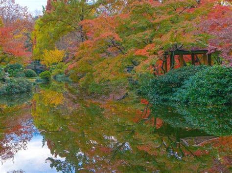 Japanese Fall Festival Returns To The Fort Worth Botanic Garden ...