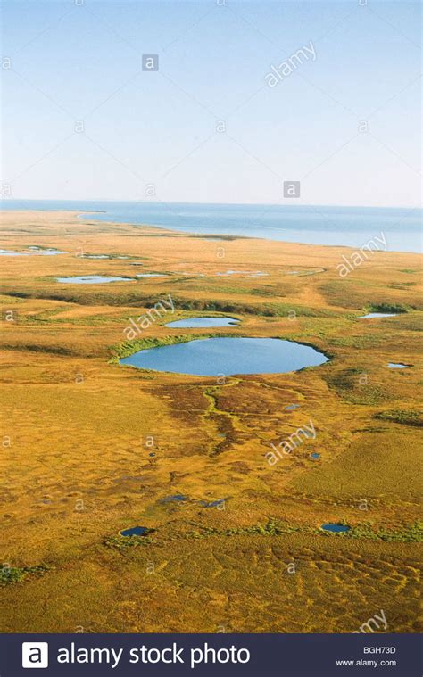 Chukchi Peninsula Stock Photos & Chukchi Peninsula Stock Images - Alamy