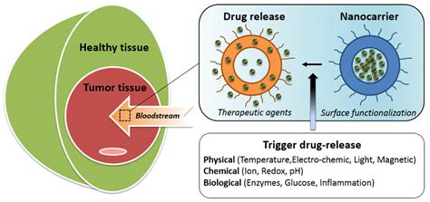 Schematic representation of targeted drug delivery and release. | Download Scientific Diagram