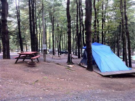 Campsite Spotlight: Knoebels Park Campground - The Touring Camper