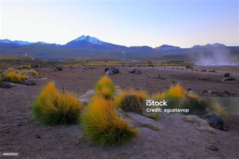 Lanskap Dramatis Tatio Geysers Asap Saat Matahari Terbit Subuh Dan Padang Rumput Gurun Atacama ...