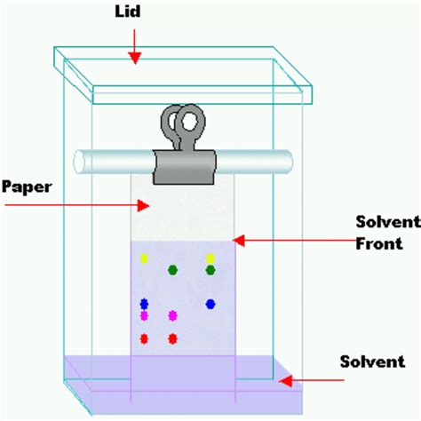 Paper Chromatography