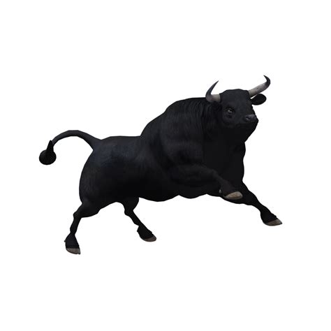 Bull PNG Images (Transparent HD Photo Clipart)