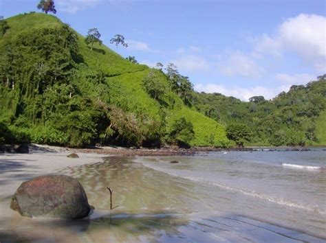 Best Diving sites in Cocos Island Costa Rica – Costa Rica Scuba dive ...