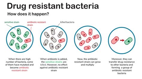 Antibiotic resistance - SPARTHA Medical