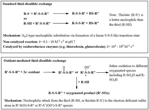 Mechanisms of traditional 'thiol-disulfide exchange' (top) and ...