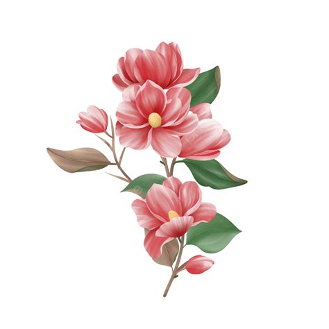 Pink Watercolor Flowers PNG Picture, Watercolor Pink Flower Illustration, Watercolor, Pink ...