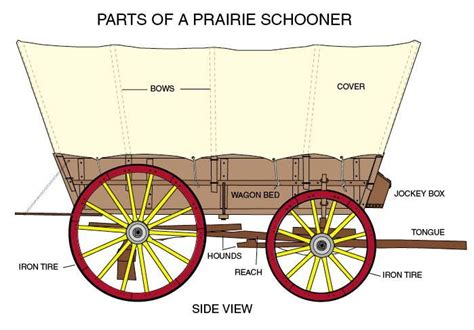 Diagram of a Covered Wagon with parts labeled | Covered wagon, Wagon, Wagons