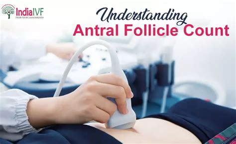 Decoding Antral Follicle Count: Your Guide to Understanding AFC