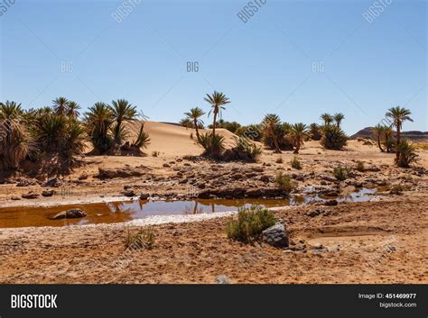 Oasis Sahara Desert. Image & Photo (Free Trial) | Bigstock