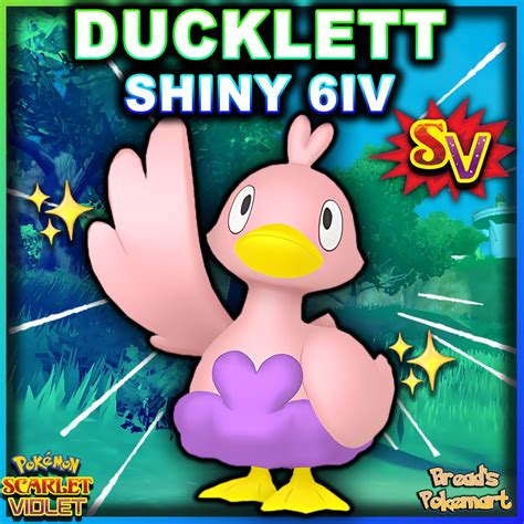 DUCKLETT Shiny 6IV / Pokemon Scarlet and Violet / Lv1 Ready to - Etsy