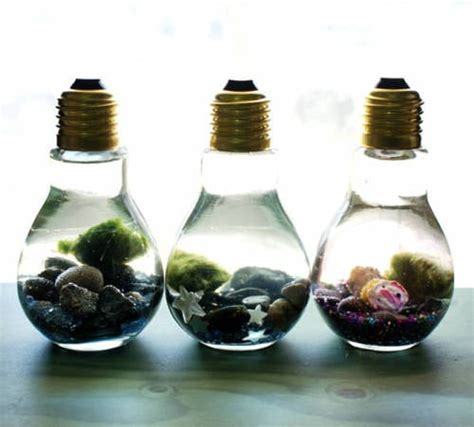 Easy DIY Light Bulb Aquarium