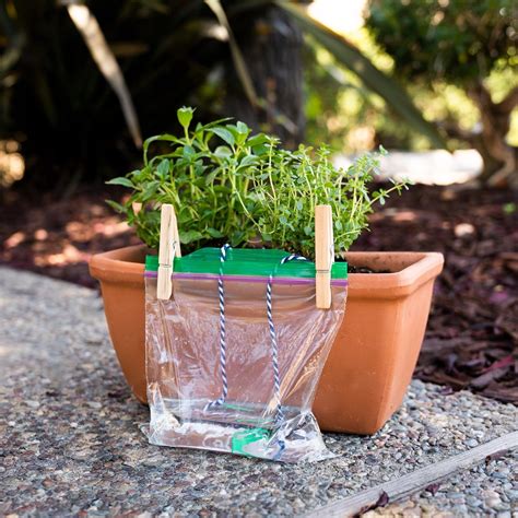 Self Watering Planter | Self watering planter, Self watering plants, Diy self watering planter