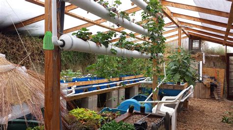 Walipini and Aquaponics: The Walipini growing season | Underground ...