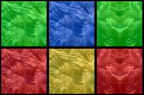 Ostrich Feathers Background Free Stock Photo - Public Domain Pictures