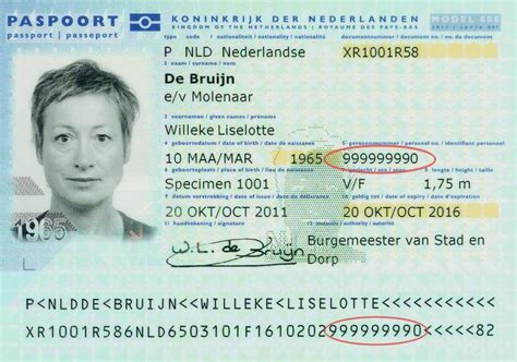 Where can I find my citizen service number on my Dutch passport ...