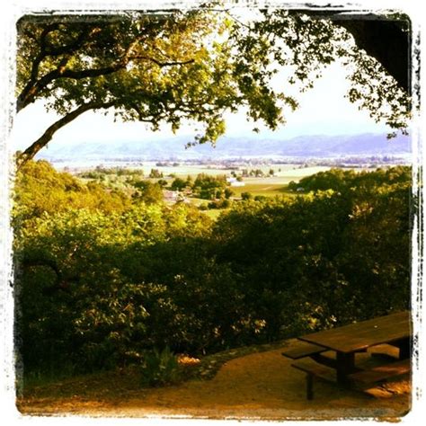 Rutherford Hill Winery | Napa valley, Napa valley wine, Winery