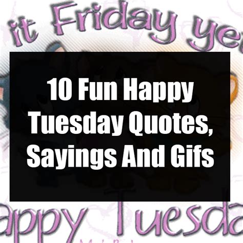 Happy Tuesday Quotes Funny