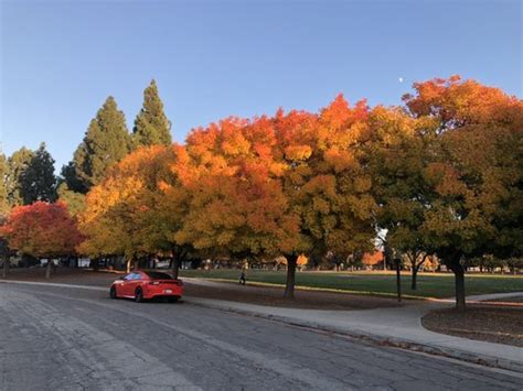 CATALDI PARK - Updated November 2024 - 238 Photos & 113 Reviews - 2900 ...