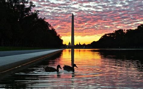 Sunrise at the Washington Monument | Etsy