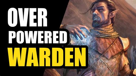 Warden Solo PVE HYBRID Build For The Elder Scrolls Online - WINTER'S ...