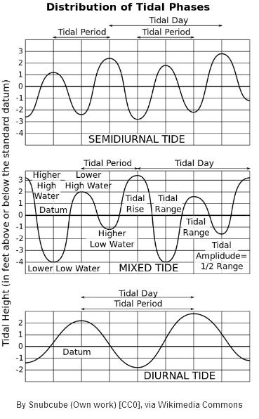 Learn More: Tides - Tampa Bay Water Atlas - TampaBay.WaterAtlas.org