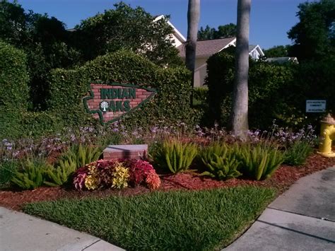 Tampa landscape Archives - Mastering the Art of Landscaping