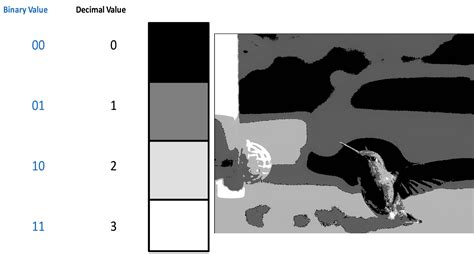 Bit Depth for High Speed Cameras | Fastec Imaging