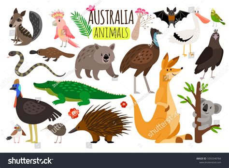 Australian Animals Vector Animal Icons Australia Stock Vector (Royalty Free) 1055548784 ...