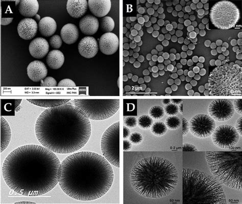 Electron microscope images of prepared KCC-1 material. (A,B) Scanning ...