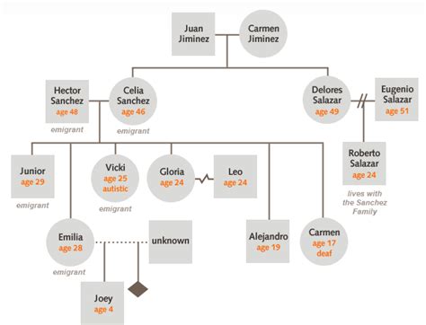 New Directions in Social Work Series - Genogram | Social work, Genogram ...