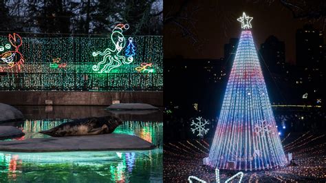 Tickets go on sale for holiday-favorite 'ZooLights' at Lincoln Park Zoo | FOX 32 Chicago