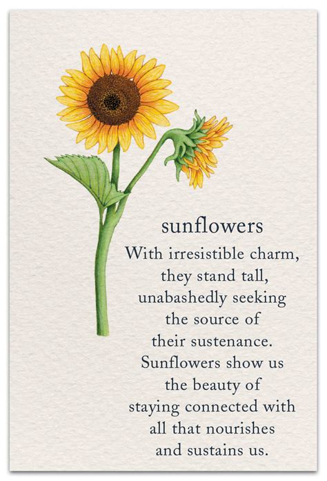 Sunflowers | Birthday Card | cardthartic.com