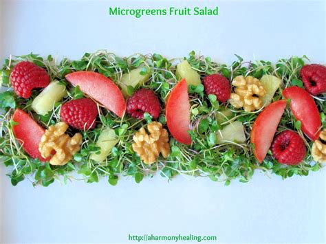 25 Microgreens Recipes To Take Healthy Eating To The Next Level